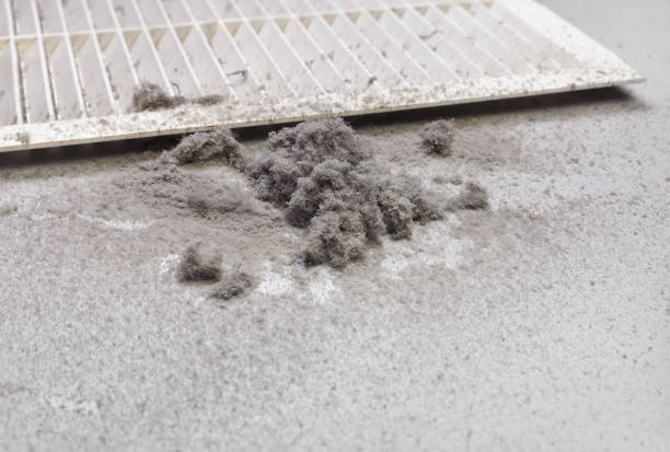 Best HVAC Duct Inspection Services  in Armada, MI