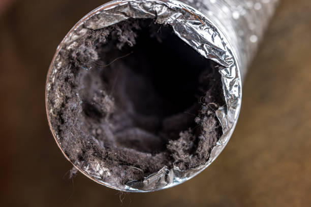 Best Air Duct Cleaning Cost  in Armada, MI