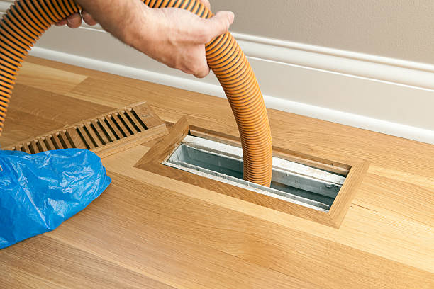 Best Professional Duct Cleaning Services  in Armada, MI